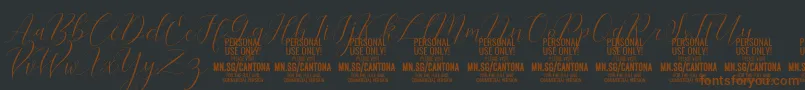 Fonte CantonaScript PERSONAL USE – fontes marrons em um fundo preto