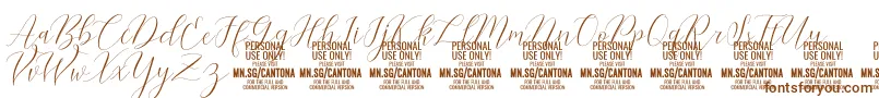 CantonaScript PERSONAL USE Font – Brown Fonts