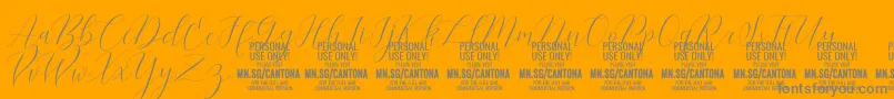 CantonaScript PERSONAL USE-Schriftart – Graue Schriften auf orangefarbenem Hintergrund