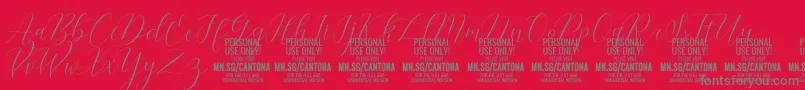 CantonaScript PERSONAL USE Font – Gray Fonts on Red Background