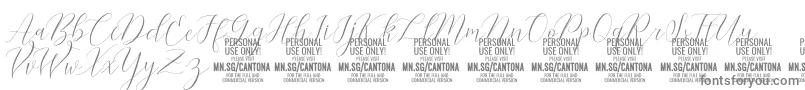 CantonaScript PERSONAL USE Font – Gray Fonts