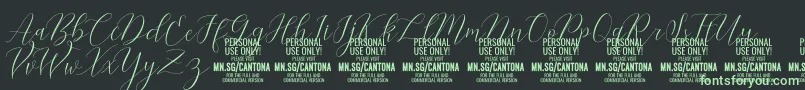 CantonaScript PERSONAL USE Font – Green Fonts on Black Background