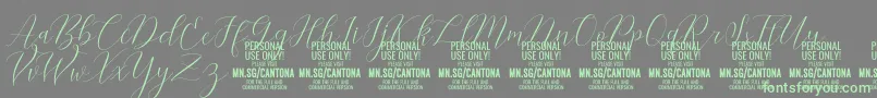 CantonaScript PERSONAL USE Font – Green Fonts on Gray Background