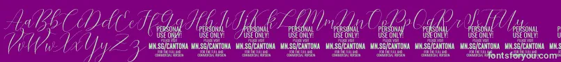 CantonaScript PERSONAL USE Font – Green Fonts on Purple Background