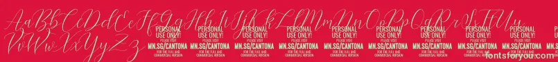 CantonaScript PERSONAL USE Font – Green Fonts on Red Background