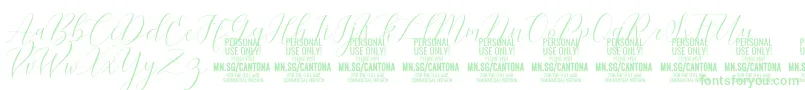 CantonaScript PERSONAL USE Font – Green Fonts