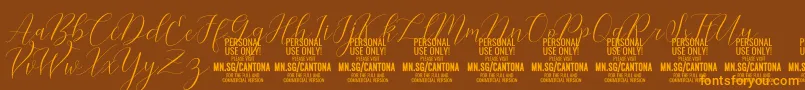 CantonaScript PERSONAL USE Font – Orange Fonts on Brown Background