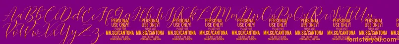 CantonaScript PERSONAL USE Font – Orange Fonts on Purple Background