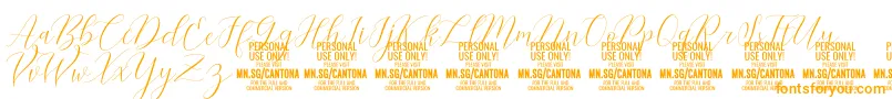 CantonaScript PERSONAL USE Font – Orange Fonts on White Background