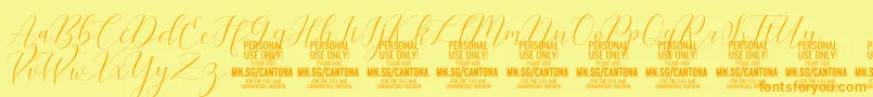 CantonaScript PERSONAL USE Font – Orange Fonts on Yellow Background