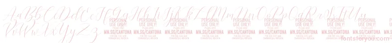 fuente CantonaScript PERSONAL USE – Fuentes Rosadas Sobre Fondo Blanco