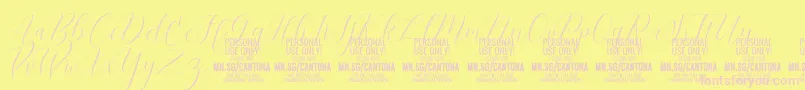 CantonaScript PERSONAL USE Font – Pink Fonts on Yellow Background