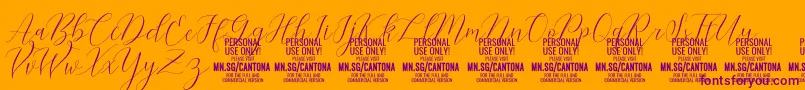 fuente CantonaScript PERSONAL USE – Fuentes Moradas Sobre Fondo Naranja