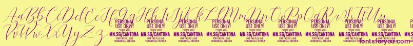 Fonte CantonaScript PERSONAL USE – fontes roxas em um fundo amarelo