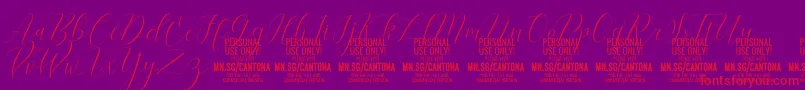 CantonaScript PERSONAL USE-Schriftart – Rote Schriften auf violettem Hintergrund