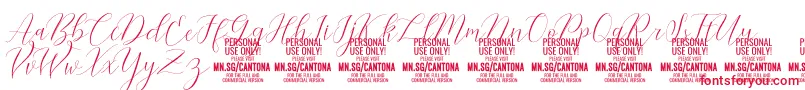 CantonaScript PERSONAL USE Font – Red Fonts on White Background