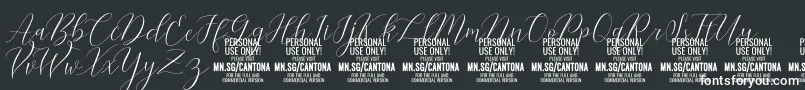 Шрифт CantonaScript PERSONAL USE – белые шрифты на чёрном фоне