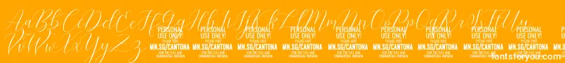 fuente CantonaScript PERSONAL USE – Fuentes Blancas Sobre Fondo Naranja