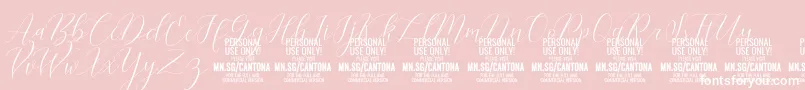 CantonaScript PERSONAL USE-Schriftart – Weiße Schriften auf rosa Hintergrund