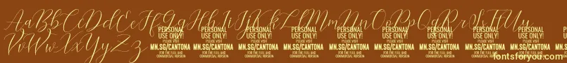 CantonaScript PERSONAL USE Font – Yellow Fonts on Brown Background