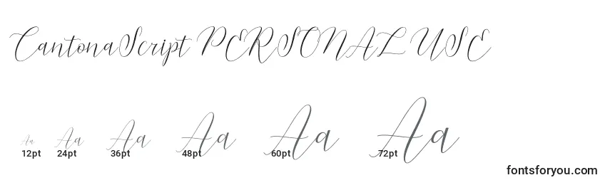 Размеры шрифта CantonaScript PERSONAL USE