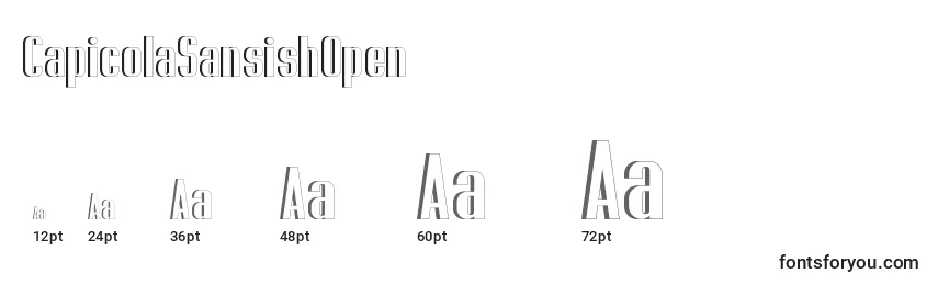 CapicolaSansishOpen Font Sizes