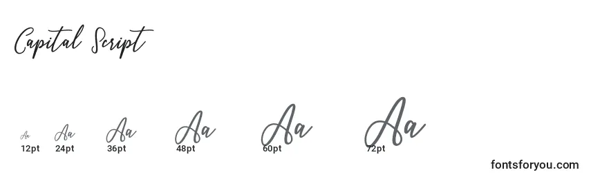 Capital Script Font Sizes