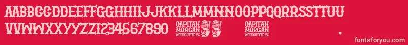 Police Capitan Morgan – polices roses sur fond rouge