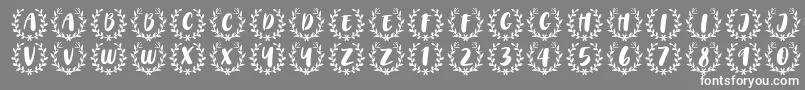 CAPS Font by 7NTypes Font – White Fonts on Gray Background