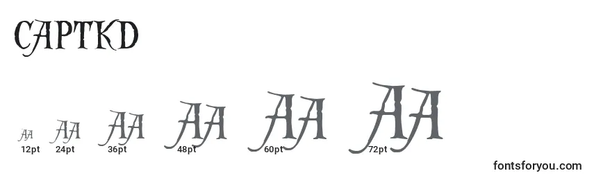 Größen der Schriftart CAPTKD   (122800)