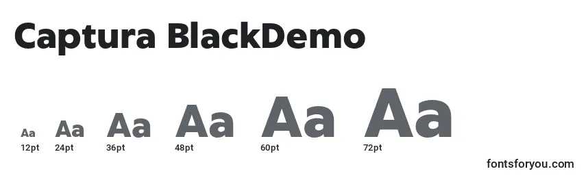 Größen der Schriftart Captura BlackDemo