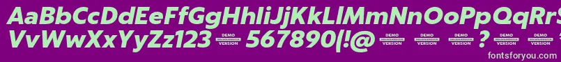 Captura BlackItalicDemo Font – Green Fonts on Purple Background