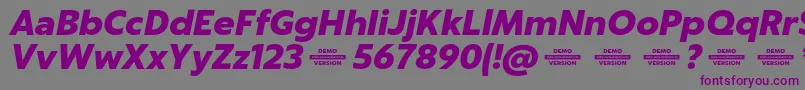 Captura BlackItalicDemo Font – Purple Fonts on Gray Background