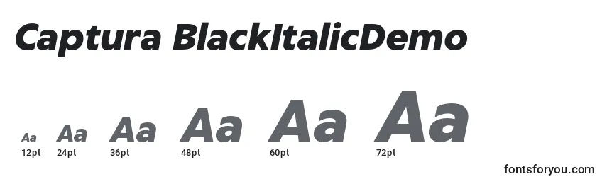 Размеры шрифта Captura BlackItalicDemo