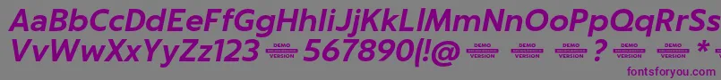 Шрифт Captura BoldItalicDemo – фиолетовые шрифты на сером фоне