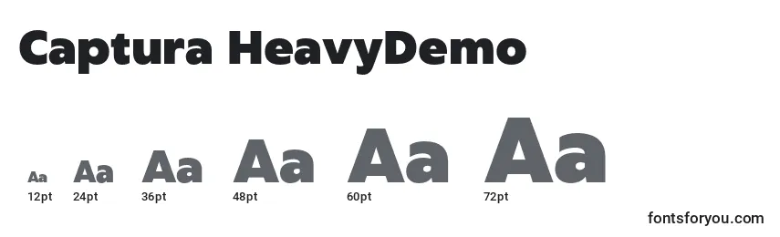 Размеры шрифта Captura HeavyDemo
