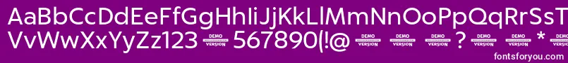 Captura RegularDemo Font – White Fonts on Purple Background