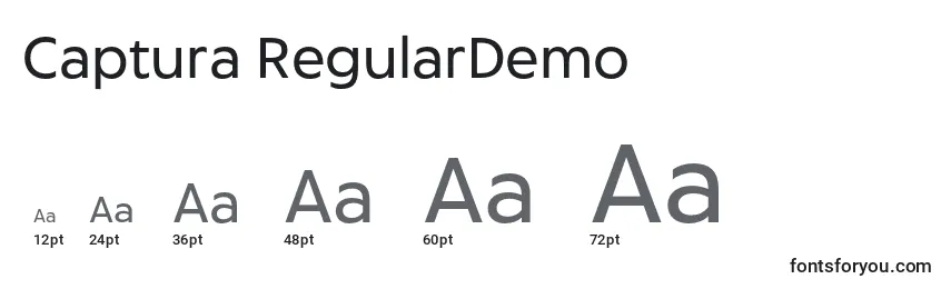 Размеры шрифта Captura RegularDemo