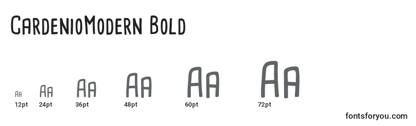 CardenioModern Bold Font Sizes