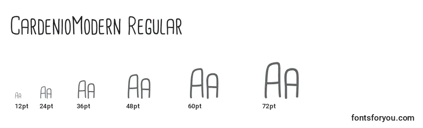CardenioModern Regular Font Sizes