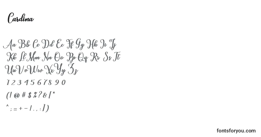 Czcionka Cardina – alfabet, cyfry, specjalne znaki