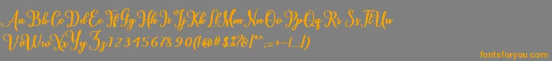 フォントCardina – オレンジの文字は灰色の背景にあります。