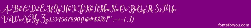 Cardina Font – Pink Fonts on Purple Background