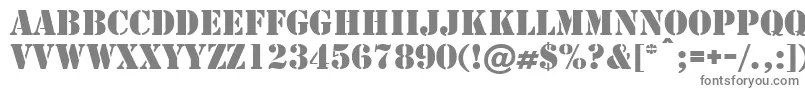 Cargo Font – Gray Fonts on White Background