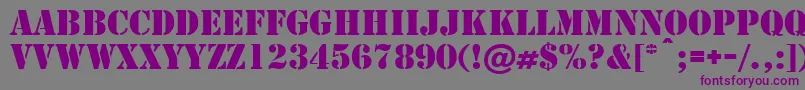 Cargo Font – Purple Fonts on Gray Background