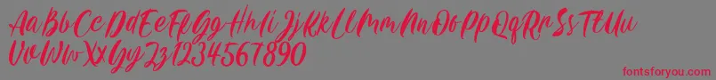 Carily DEMO VERSION Font – Red Fonts on Gray Background