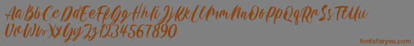 Czcionka Carily DEMO VERSION – brązowe czcionki na szarym tle