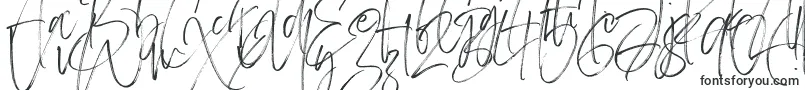 Carlinet Font – Handwritten Fonts