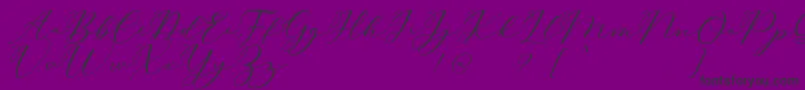 Carliste Script Demo-Schriftart – Schwarze Schriften auf violettem Hintergrund