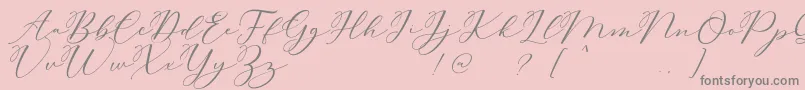 Carliste Script Demo-Schriftart – Graue Schriften auf rosa Hintergrund